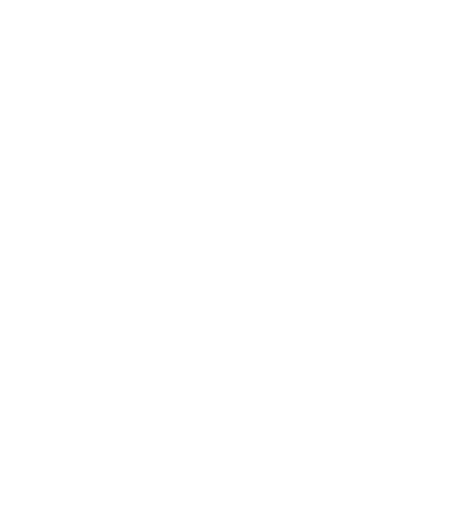 Best Lion Global Kimya